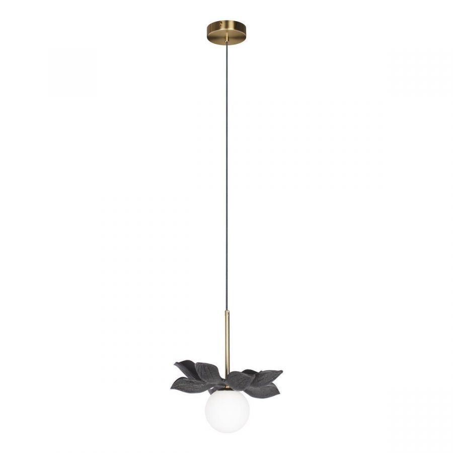 Подвесной светильник Loft IT Monro 10213/B Black
