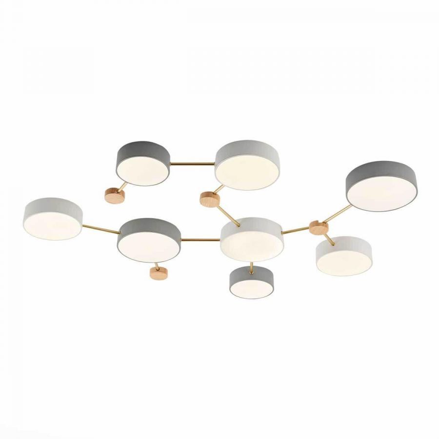 Потолочный светильник Evoluce DOSSENA SLE600102-08