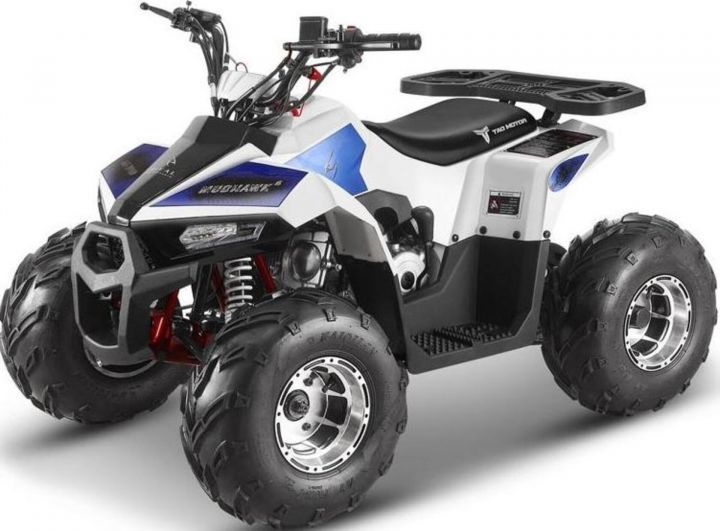 Квадроцикл YACOTA RAPOSA