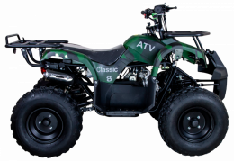 Квадроцикл Avantis Classic 8+ NEW (A)