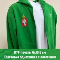 толстовка с лого для мероприятий