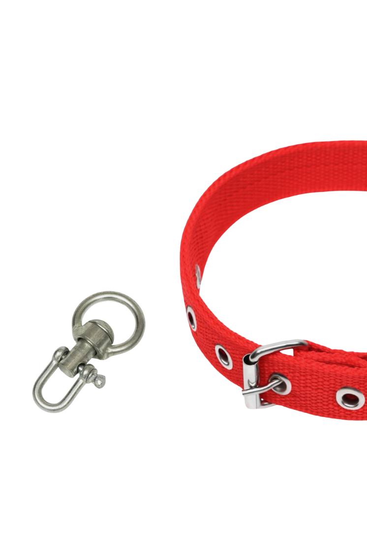 Ошейник двухслойный с вертлюгом, 55 х 2,5 см, ОШ 36-47 см, красный