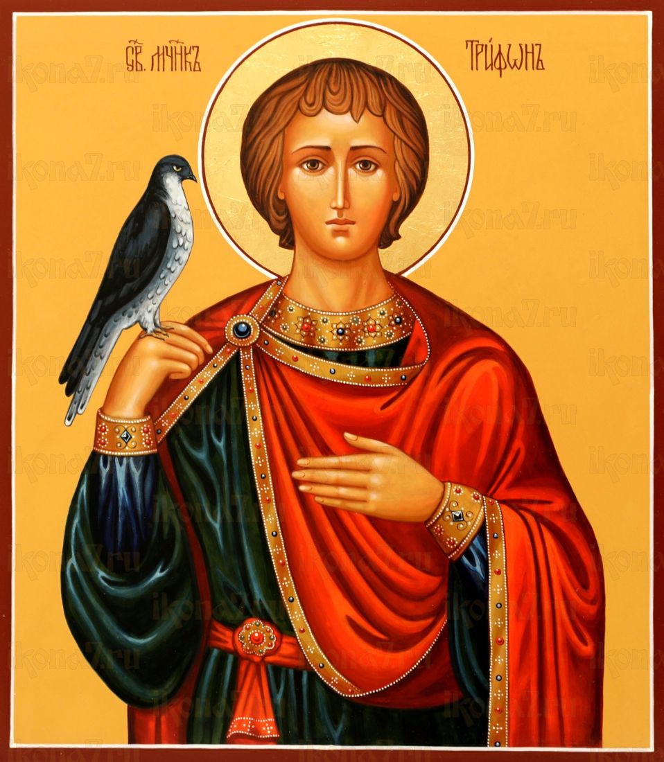 Икона Трифон Апамейский (Никейский) Мученик (UV-печать)(10340)