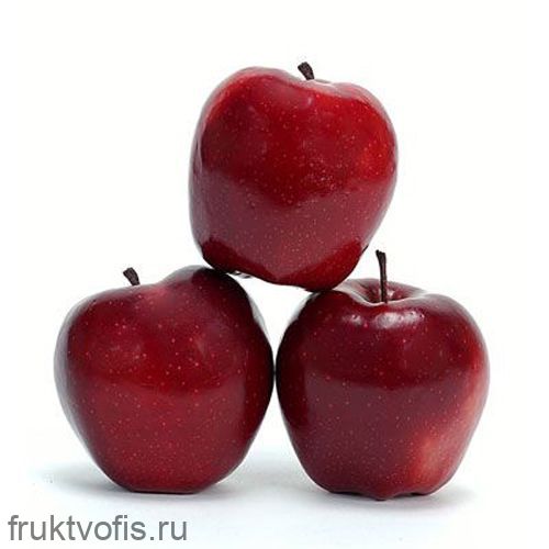 Яблоко Глостер Премиум