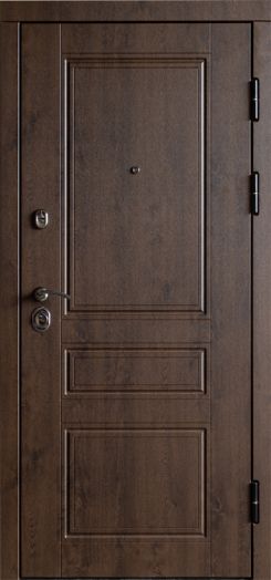 Входная дверь Termo-door Орегон Дуб - Зеркало Лиственница