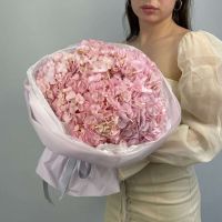 Букет из 5 Гортензий