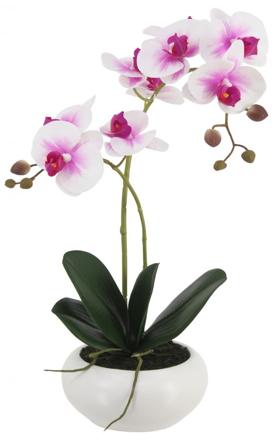 Искусственная орхидея в керамическом горшке, высота 43 см, цвет фуксия-белый, количество соцветий 2