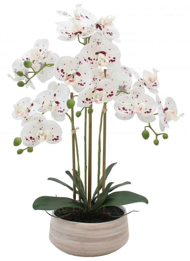 Искусственная орхидея в керамическом горшке, высота 58 см, цвет белый, количество соцветий 3