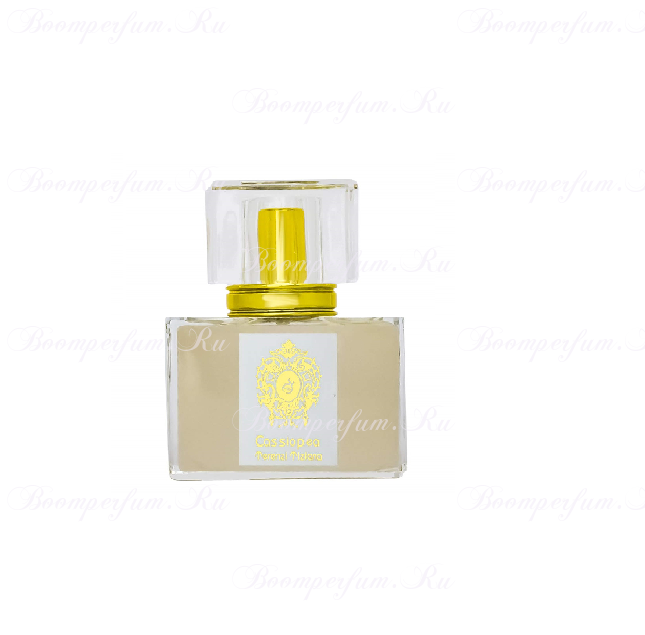 Tiziana Terenzi Cassiopea , arabian, 30 ml