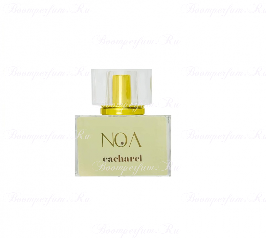 Cacharel Noa, 30 ml arabian