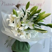 Лилии в упаковке 5 шт