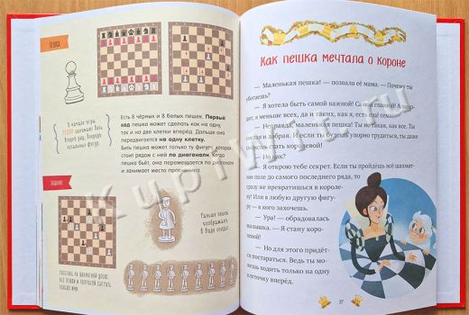 Первая шахматная книга