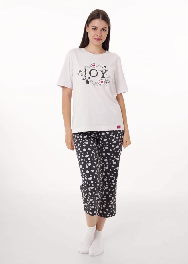 комплект CLEVER LP15-1187/2