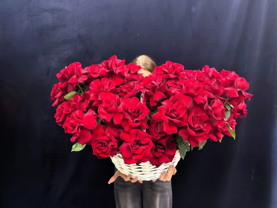 Корзина красных французских роз "Твоё дыхание"