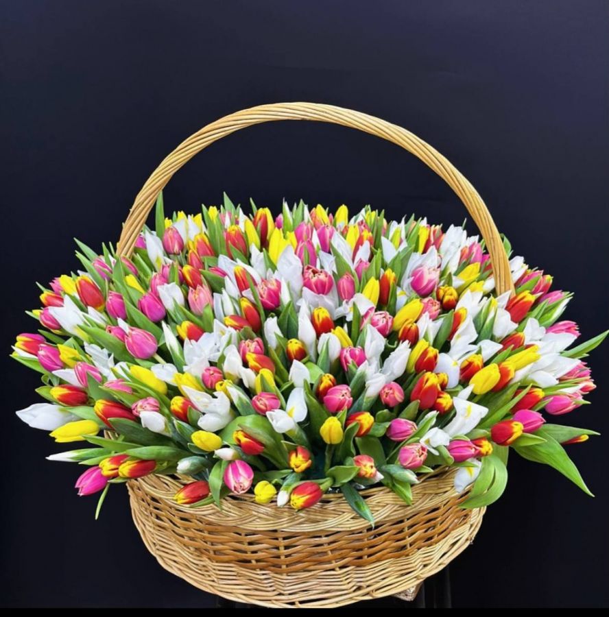 Корзина "501 тюльпан микс"