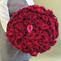 101 роза красные и розовя (60см)