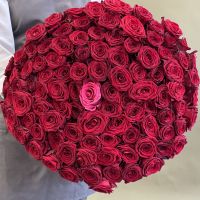 101 роза красные и розовя (60см)