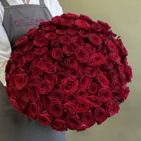 101 красная роза 60см АКЦИЯ