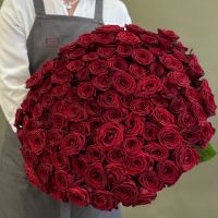 101 красная роза 60см