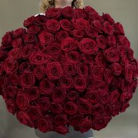 101 красная роза 60см