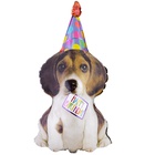 1207-6464  ФИГУРА Собака щенок в колпаке