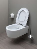 Подвесной унитаз Flaminia Link Wall Hung WC 5051WC G схема 2