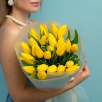 25 желтых тюльпанов