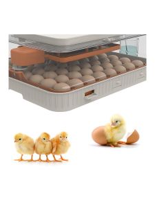 Инкубатор на 56 куринных яиц, с резервным питанием, автоматический переворот с встроенным овоскопом