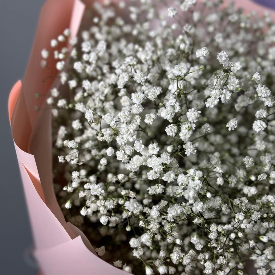 Гипсофила белая 5шт