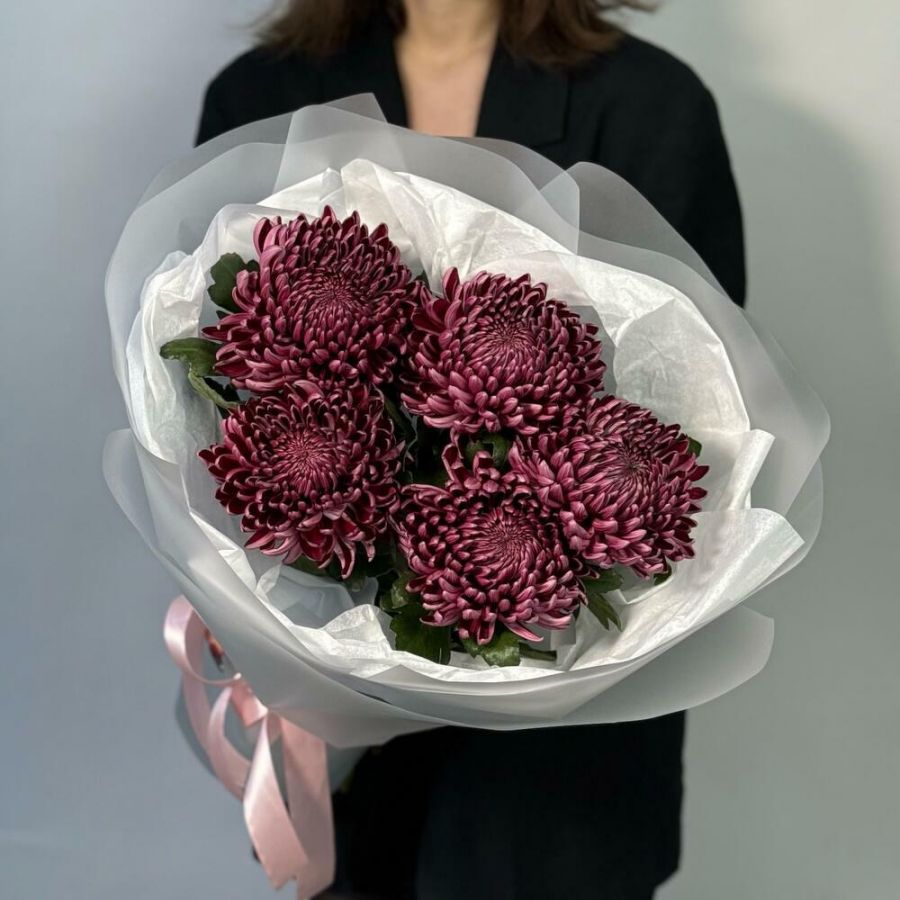 Хит осени! Хризантемы Бигуди