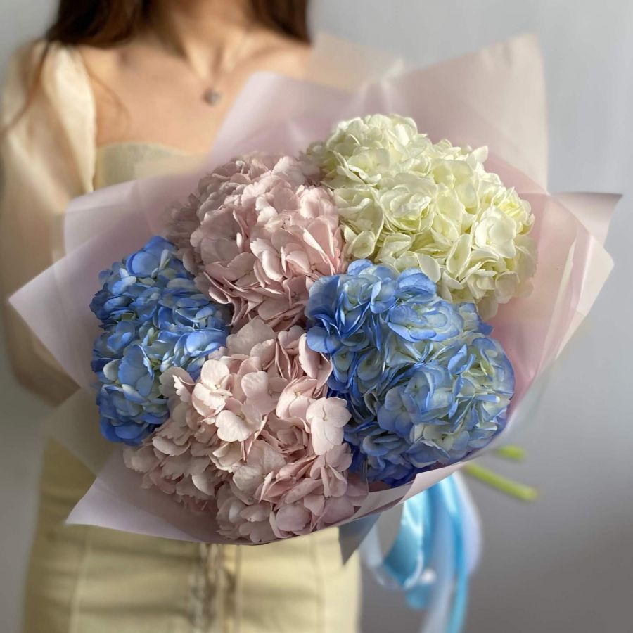 5 Роскошных гортензий