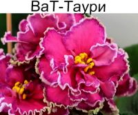 ВаТ-Таури