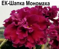 ЕК-Шапка Мономаха
