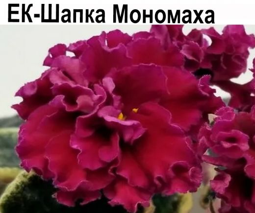 ЕК-Шапка Мономаха (Коршунова)  НОВИНКА КАТАЛОГА