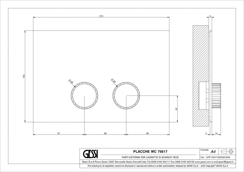 Панель смыва Gessi Incastri 75617 Tece 21,5x14,5 см ФОТО