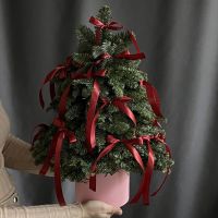 Новогодняя ёлочка