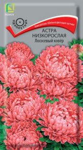 Астра низкорослая Лососевый ковёр, 0,2 г (Поиск)