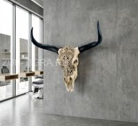 Череп буйвола быка с рогами