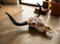 Череп буйвола быка с рогами