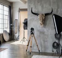 Череп буйвола быка с рогами