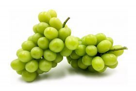Виноград Шайн Мускат