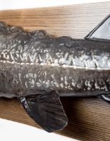 Стерлядь на стену