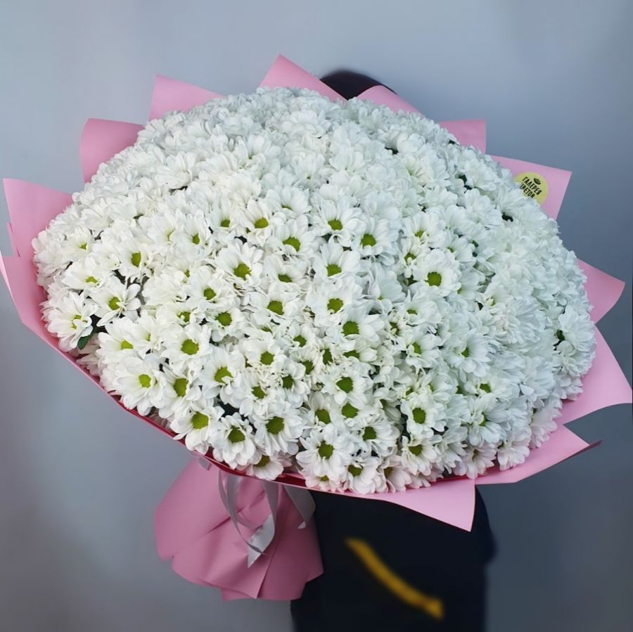 51 белая кустовая хризантема