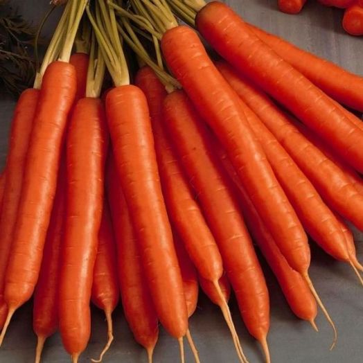 Морковь Амстердамская, 10г семян