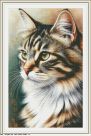 Набор для вышивания "01061 Кот"