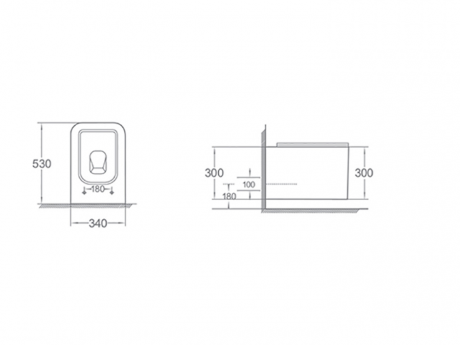 Унитаз подвесной с функцией биде с крышкой Boheme Mane 970-SET-2 ФОТО