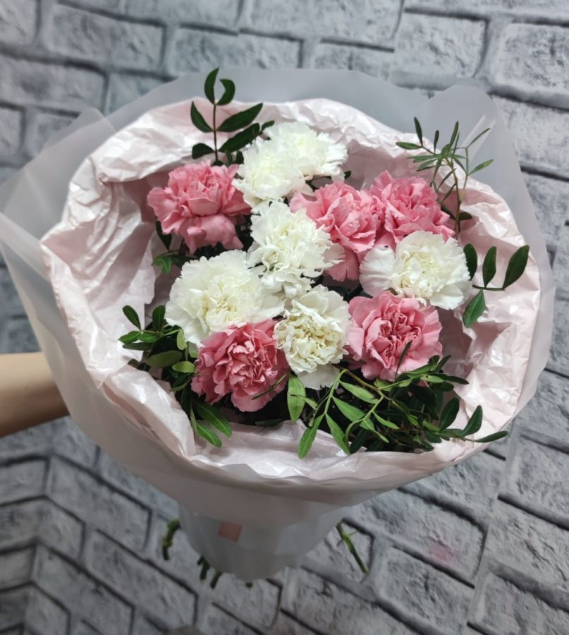 Моно из диантусов микс