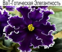 ВаТ-Готическая Элегантность (Валькова)