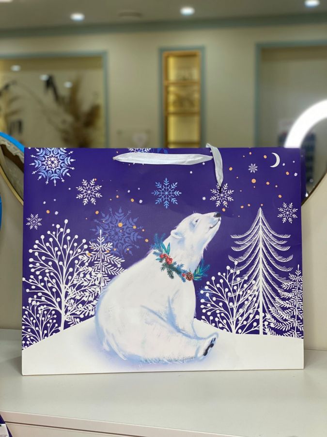 Подарочный пакет новогодний