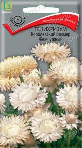 Гелихризум Королевский размер жемчужный, 0,1 г (Поиск)